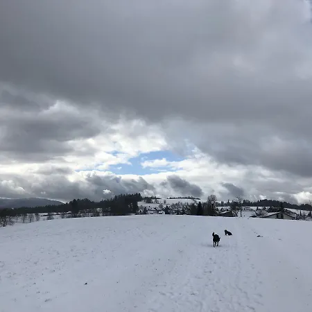 Schwarzwaldmaedel Sankt Peter