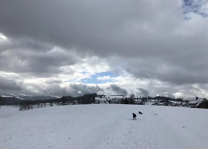 Schwarzwaldmaedel Sankt Peter