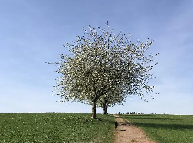 Schwarzwaldmaedel Sankt Peter